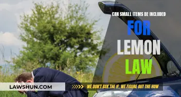 Small Items and Lemon Law: What's Covered?