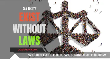 The Social Contract: Laws as a Necessary Evil