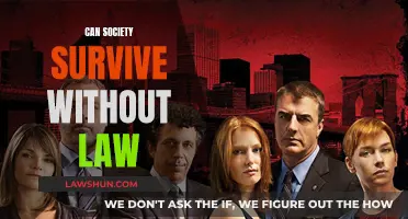 The Fragility of Lawlessness: Society's Survival Instincts