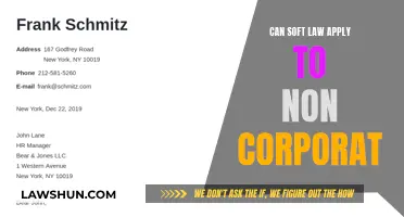 Soft Law and Non-Corporate Entities: Exploring Applicability