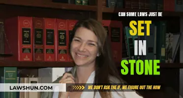 Laws Set in Stone: A Dynamic or Static Future?