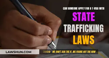 State Trafficking Laws: T-Visa Application Requirements
