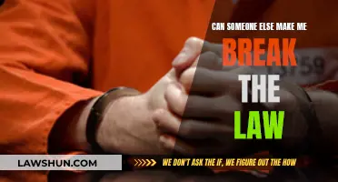 The Power of Influence: Breaking the Law