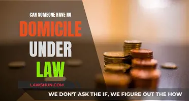 Domicile Determination: Who Are the Stateless?