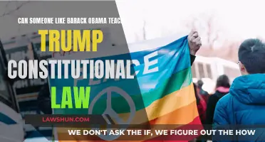 Obama Teaching Trump Law: A Surprising Student?