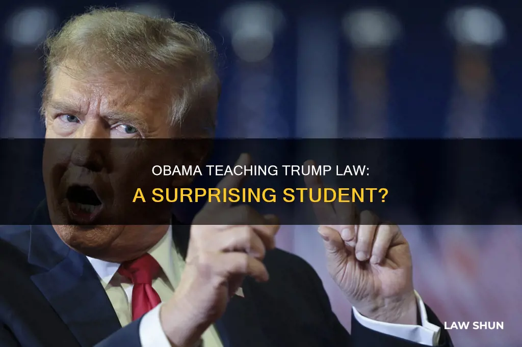 can someone like barack obama teach trump constitutional law