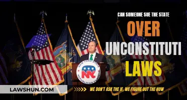 Suing the State: Unconstitutional Laws and Citizen Power