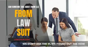 Protecting LLC Assets from Lawsuits: Shielding from Seizure