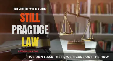 Judges and Legal Practice: Can They Do Both?