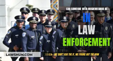 Misdemeanor and Law Enforcement: Can You Serve?
