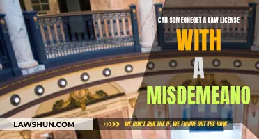 Misdemeanor and Law License: What's the Verdict?