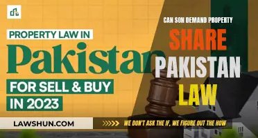 Property Rights in Pakistan: Can Sons Demand a Share?