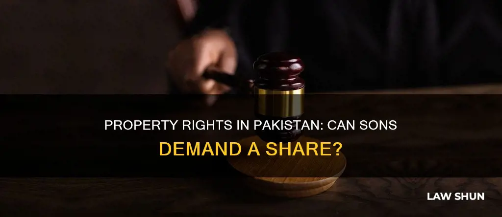 can son demand property share pakistan law