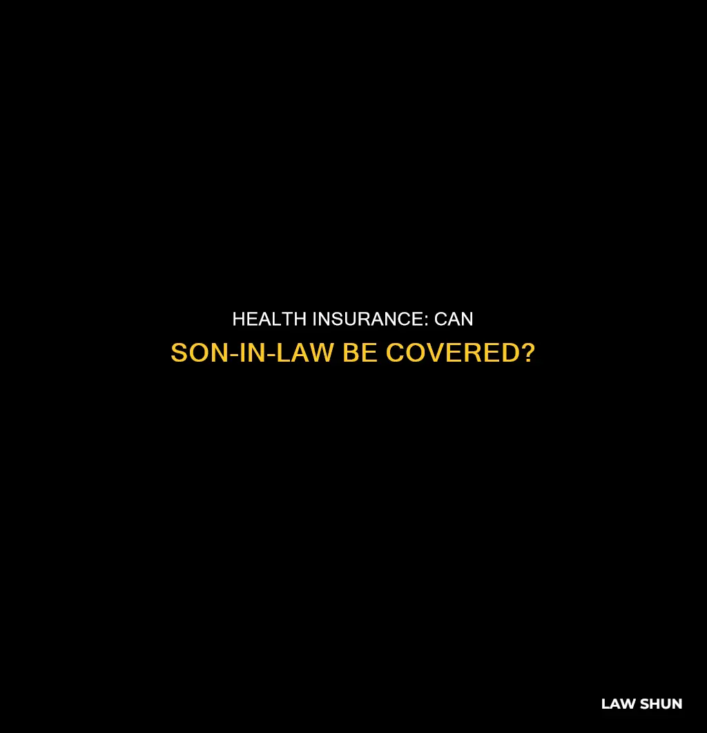 can son in law be on health insurance