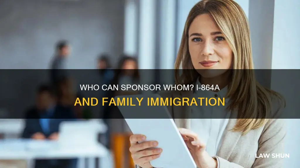 can son in law file i-864a