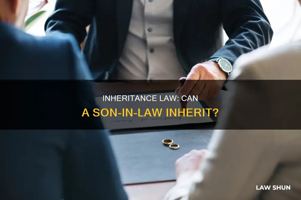 can son in law inherit