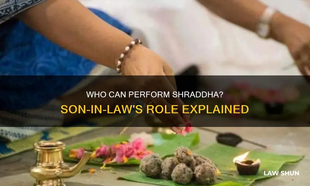 can son in law perform shraddha