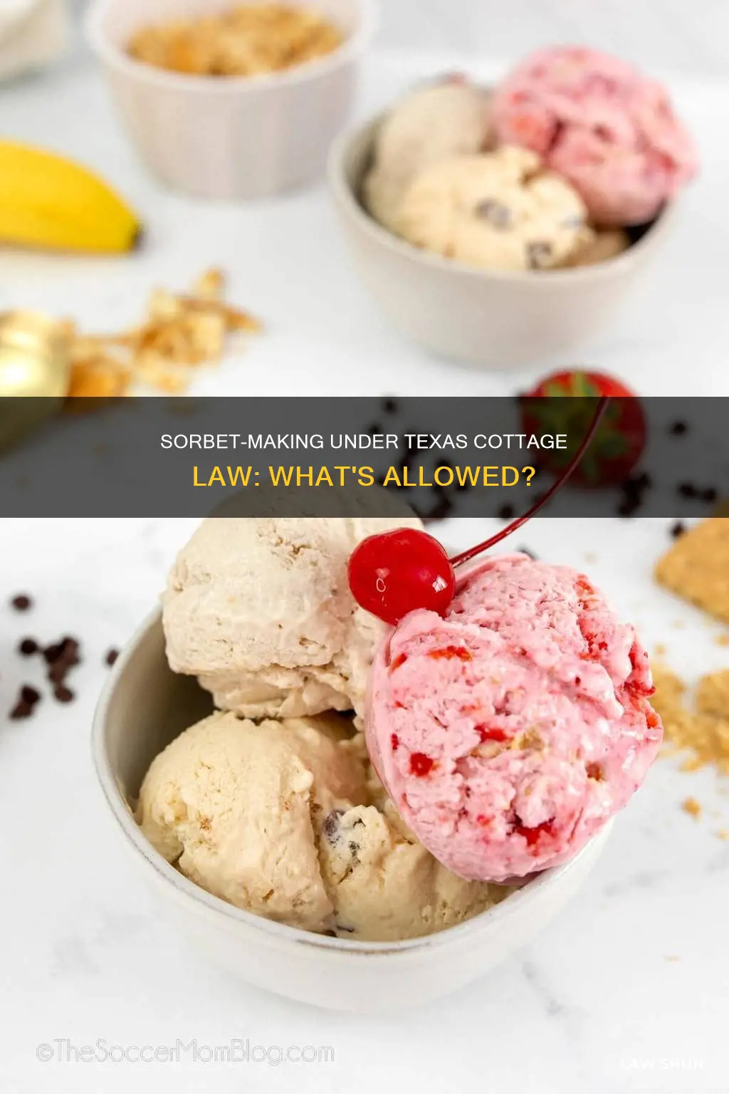 can sorbet be made under the texas cottage law