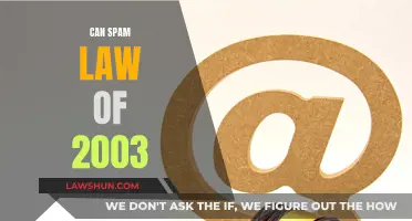 Spam Laws: Understanding the CAN-SPAM Act of 2003