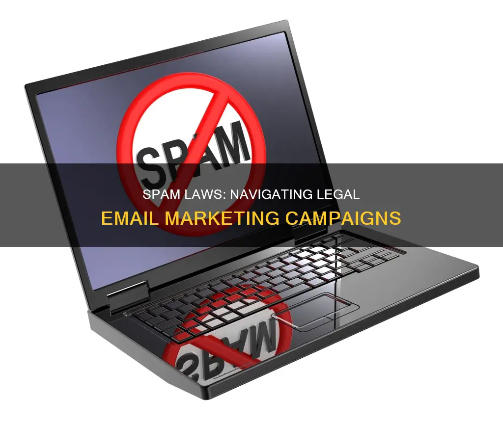 can spam laws for email marketing campaigns
