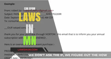 Understanding Minnesota's Anti-Spam Laws and Your Rights