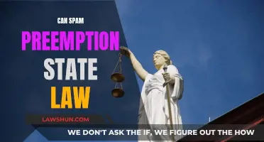 Spam Laws: State vs Federal Regulations