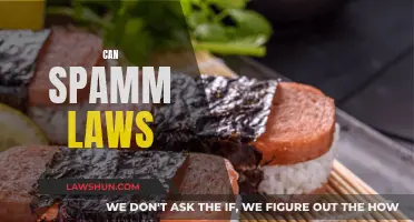 Spam Laws: Understanding the Complexities and Your Rights
