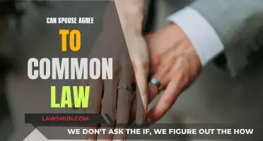 Understanding Common Law: Spousal Agreement Essentials