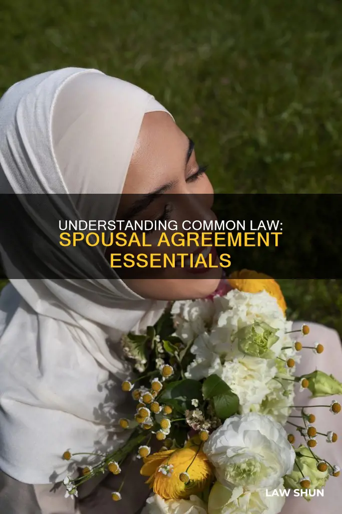 can spouse agree to common law