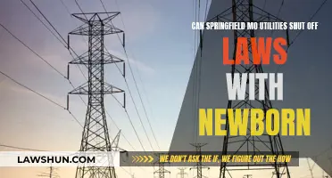 Springfield, MO: Utility Shutoff Laws for Families with Newborns