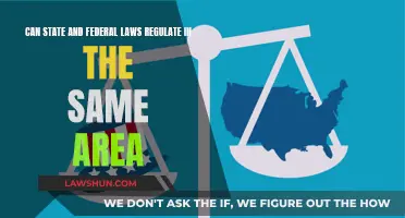 Coexisting Legal Systems: State and Federal Laws