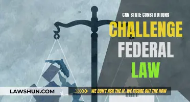 State Constitutions: Foes or Friends of Federal Law?