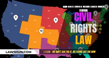 State Courts and Federal Civil Rights Law: Who Decides?