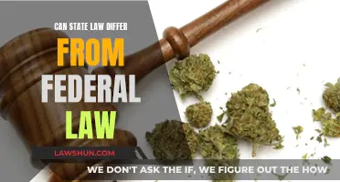 State vs Federal Law: What's the Difference?