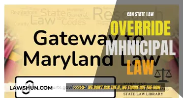 Municipal Law vs State Law: Who Wins?