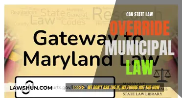 Municipal Law vs State Law: Who Trumps?