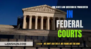 State Law Violations: Federal Court Jurisdiction?