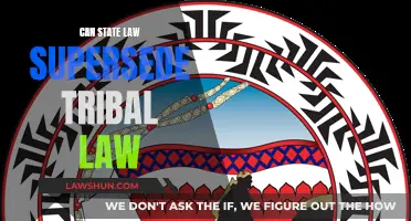 Tribal vs State Law: Who Takes Precedence?