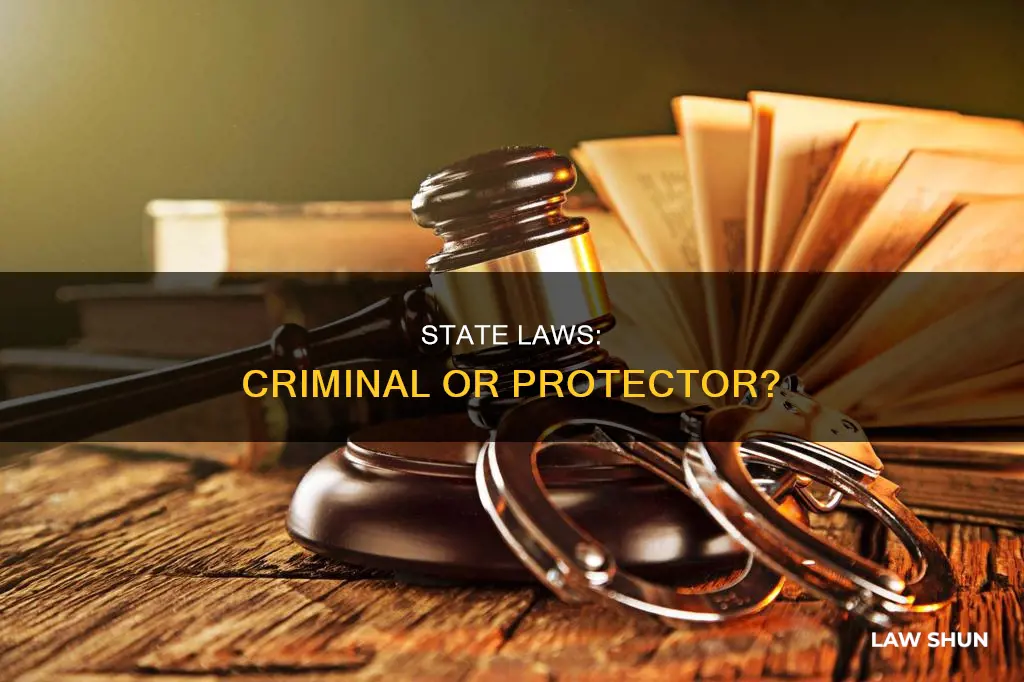 can state laws be criminal