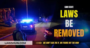 State Law Removal: Possibility or Pipe Dream?