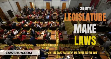State Legislature Lawmaking Powers: Explained