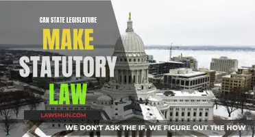 State Legislature's Power: Creating Statutory Laws