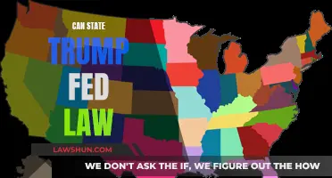 Who Wins When State and Federal Laws Conflict?