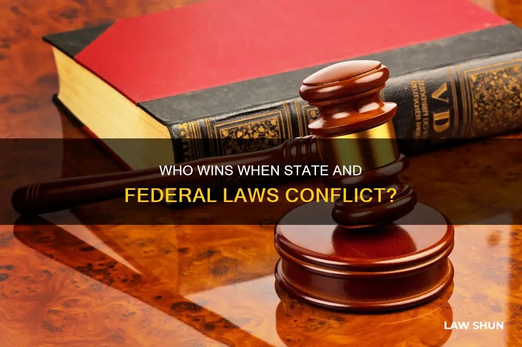 can state trump fed law