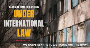 State Bombing of Civilians: Legal or War Crime?
