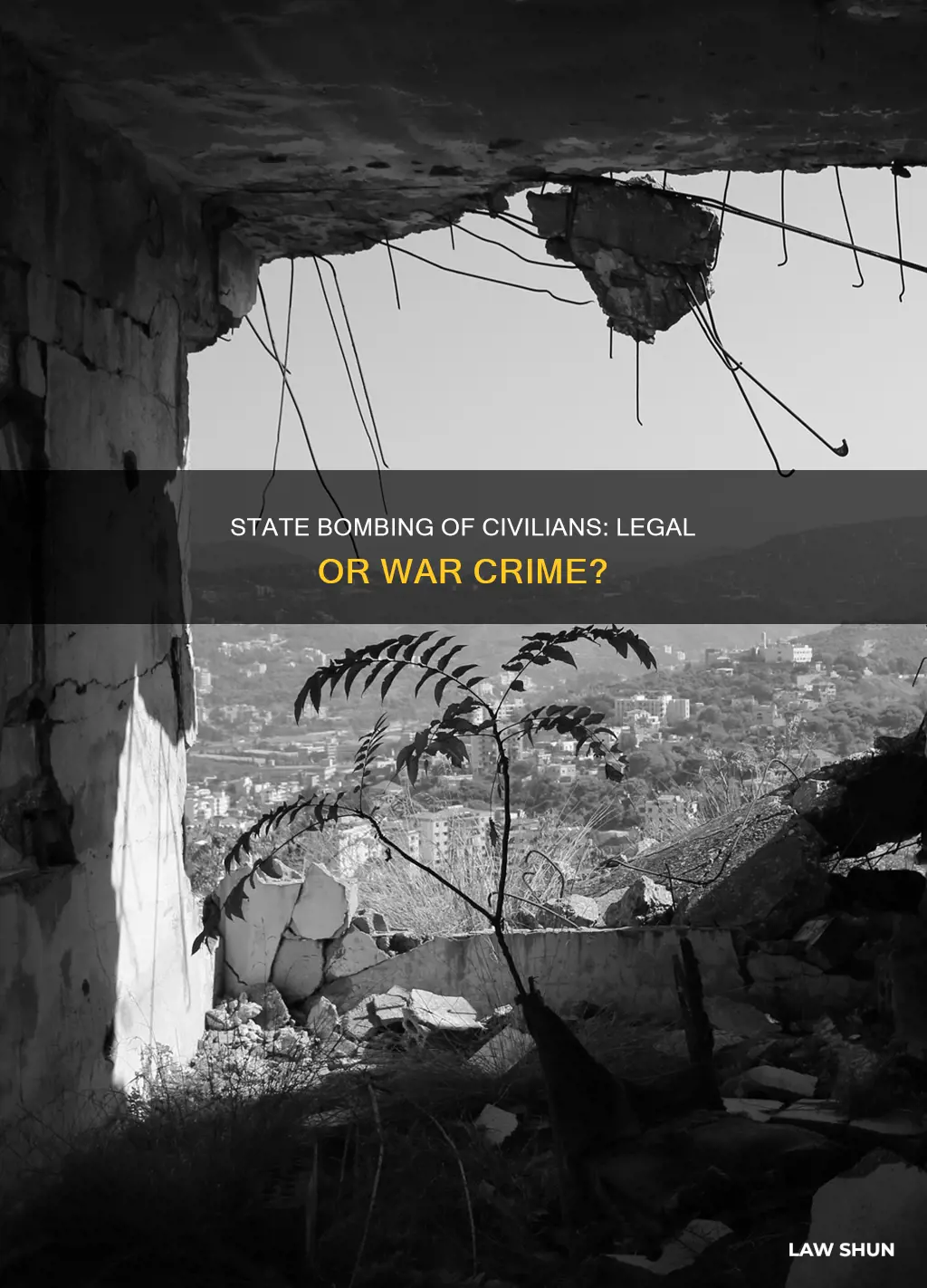 can states bomb their civilians under international law