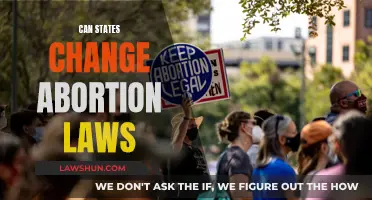 Abortion Laws: State Powers and Limitations Explored