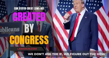 States' Rights: Creating Laws Without Congress