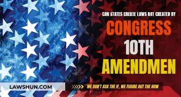 Exploring State Powers: 10th Amendment and Lawmaking