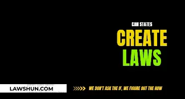 Creating Laws: States' Powers and Limits